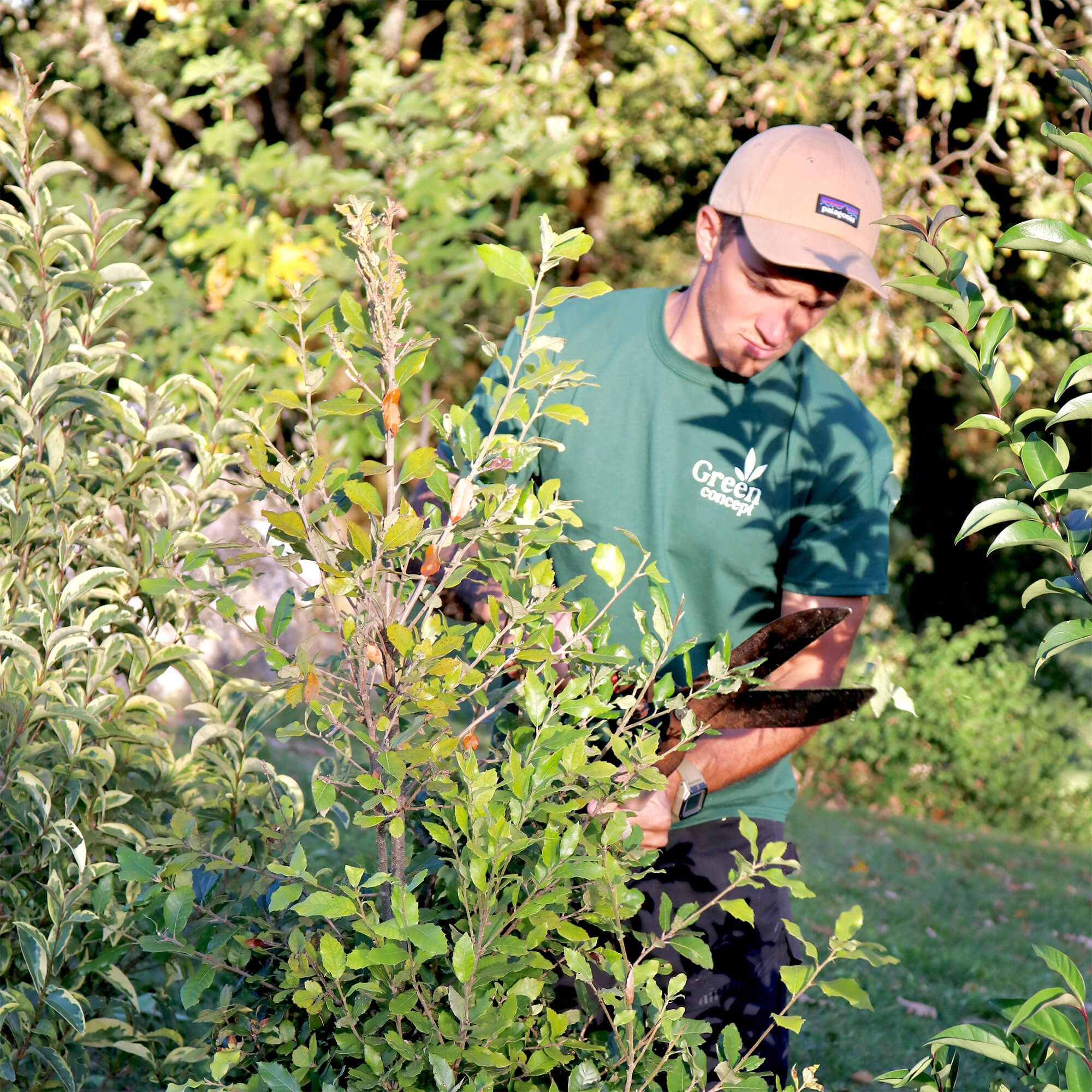 Paysagiste jardinier GreenCollect